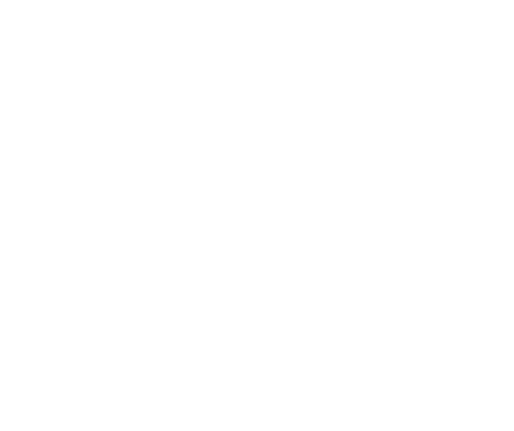 NTY Windows logo in white